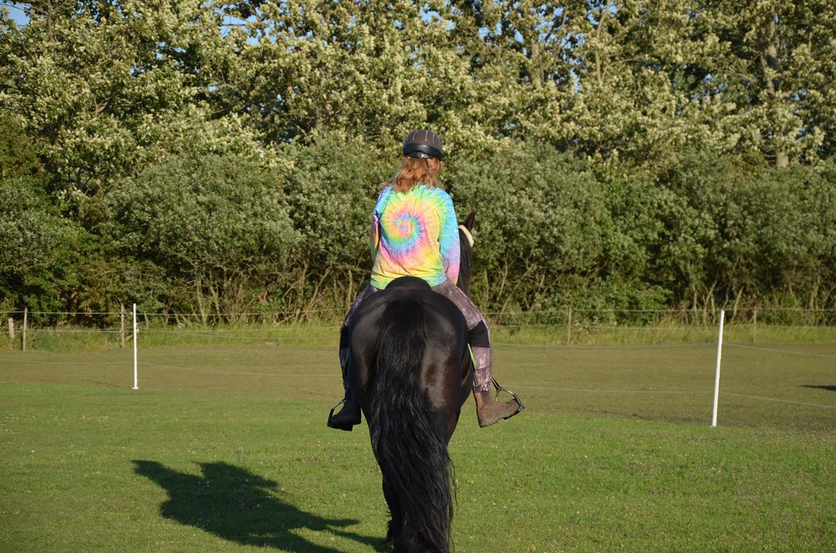 Frieser Silke (The Queen) billede 18