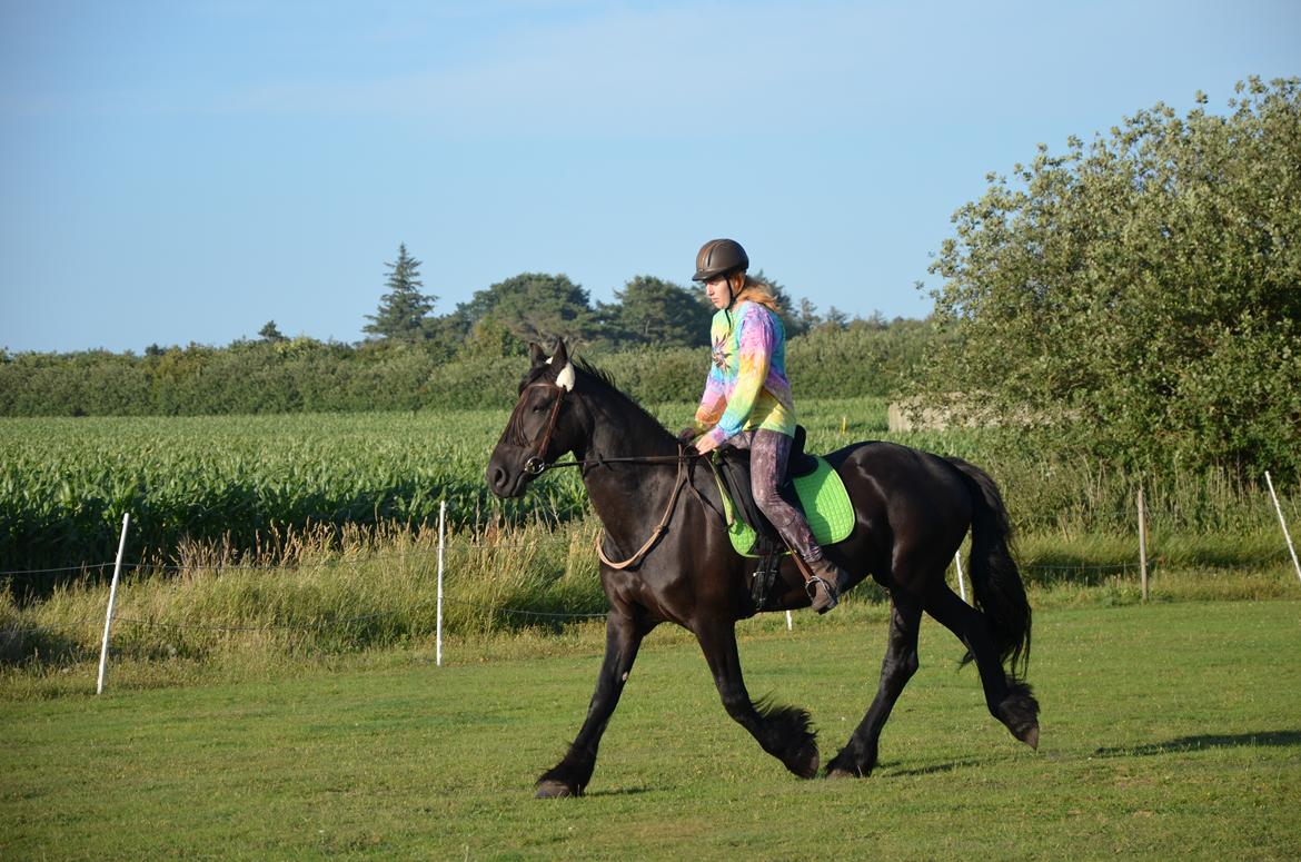 Frieser Silke (The Queen) billede 6