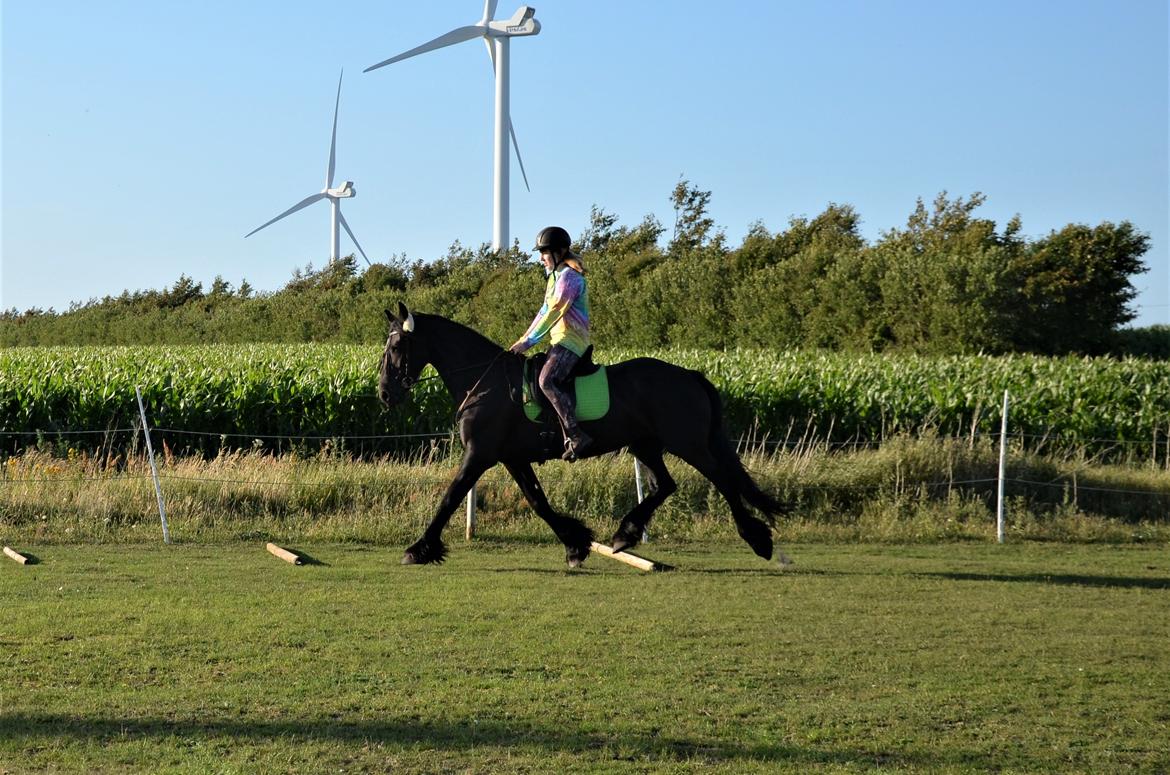 Frieser Silke (The Queen) billede 4