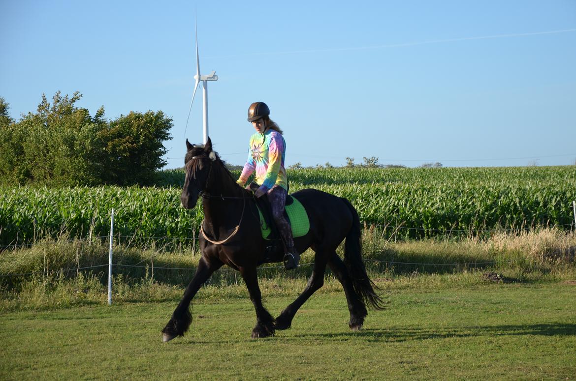 Frieser Silke (The Queen) billede 13