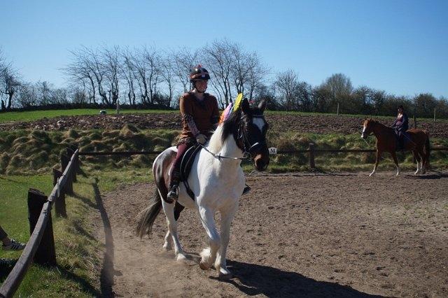 Anden særlig race Sofus  - vores første stævne  billede 15