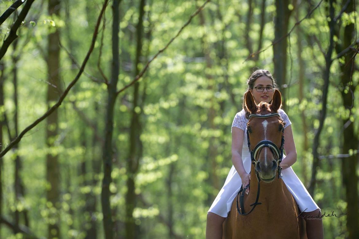 DSP Caesar damgård billede 17