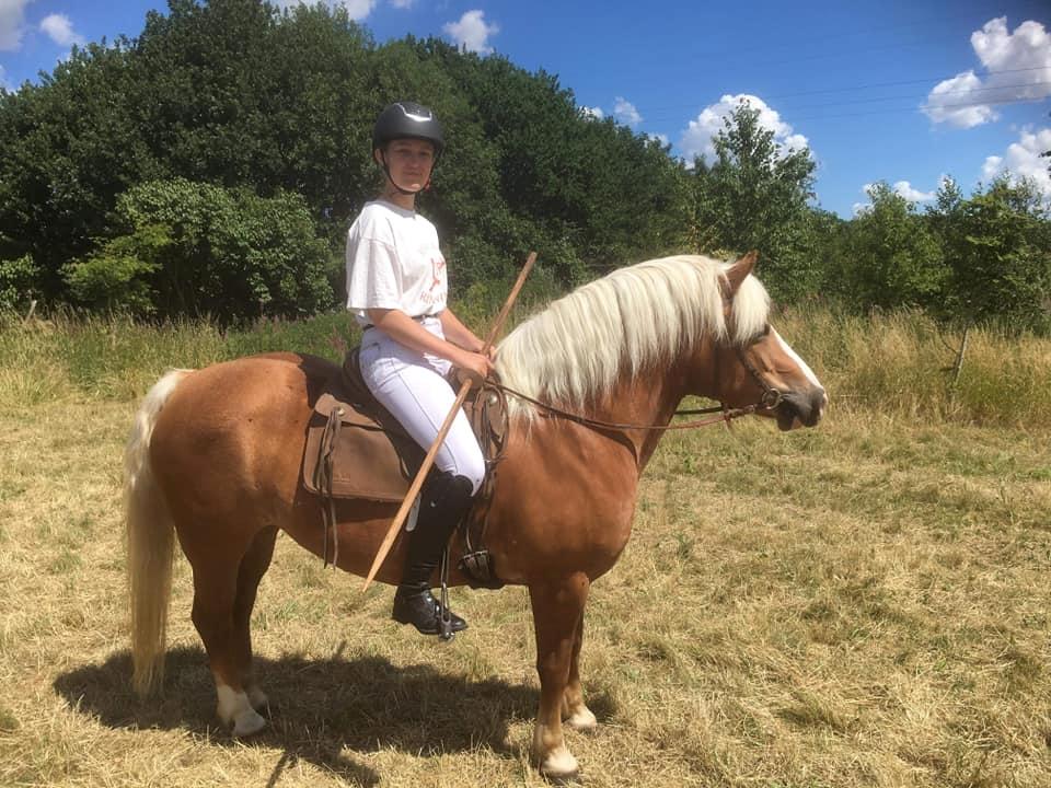 Haflinger Tabine af Frøbjerg - Jordløse ringridning 2018 (Tabines debut)  billede 1