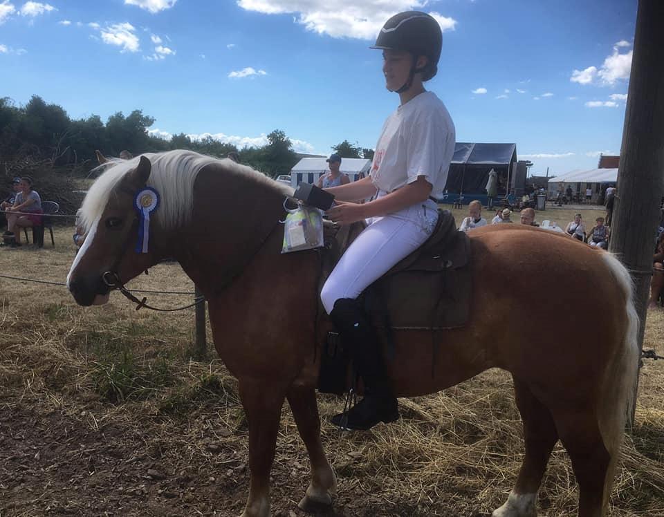 Haflinger Tabine af Frøbjerg - 2 plads til Tabines første ringridning. Jordløse ringridning 2018 billede 2