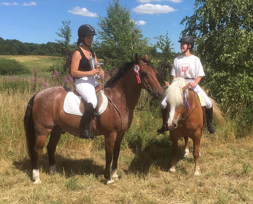 Haflinger Tabine af Frøbjerg - 2 plads til Tabines første ringridning. Jordløse ringridning 2018 billede 3