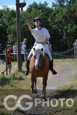 Haflinger Tabine af Frøbjerg - Jordløse ringridning 2018 (Tabines debut) billede 4