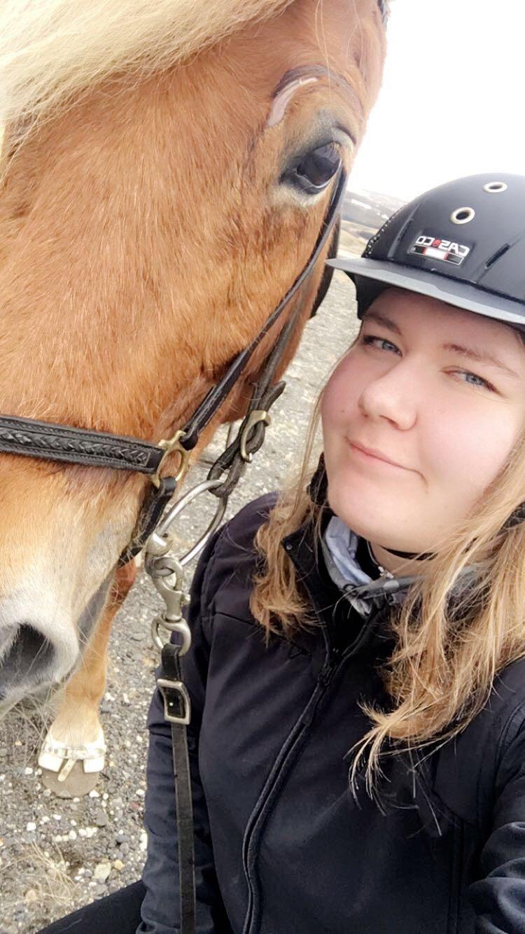 Islænder Dyggð Frá Skipanesi billede 7