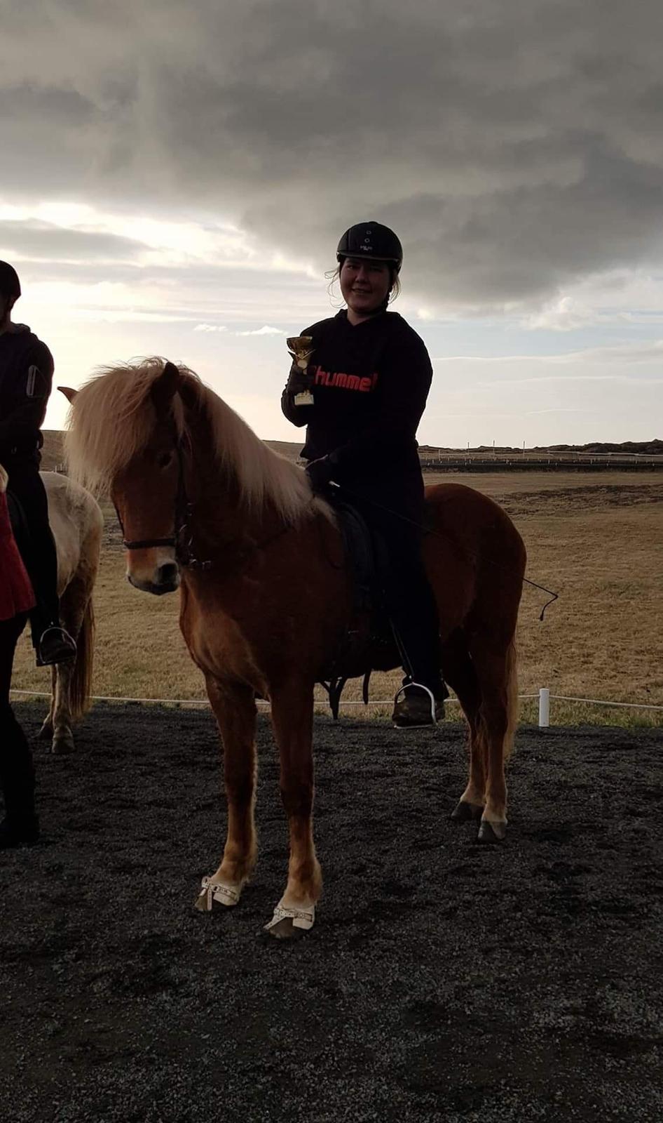 Islænder Dyggð Frá Skipanesi billede 2