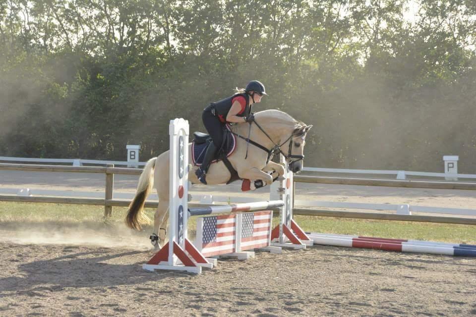 Fjordhest Milos Klattrup <3 #Dressur stjernen# billede 4