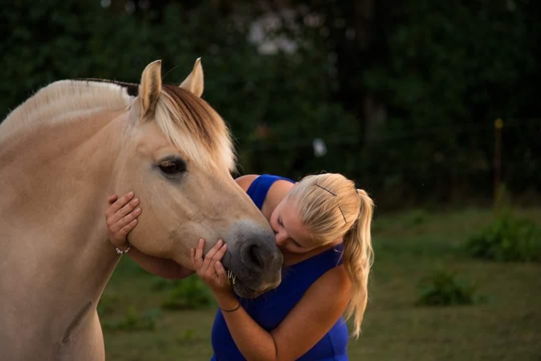 Fjordhest Milos Klattrup <3 #Dressur stjernen# billede 6