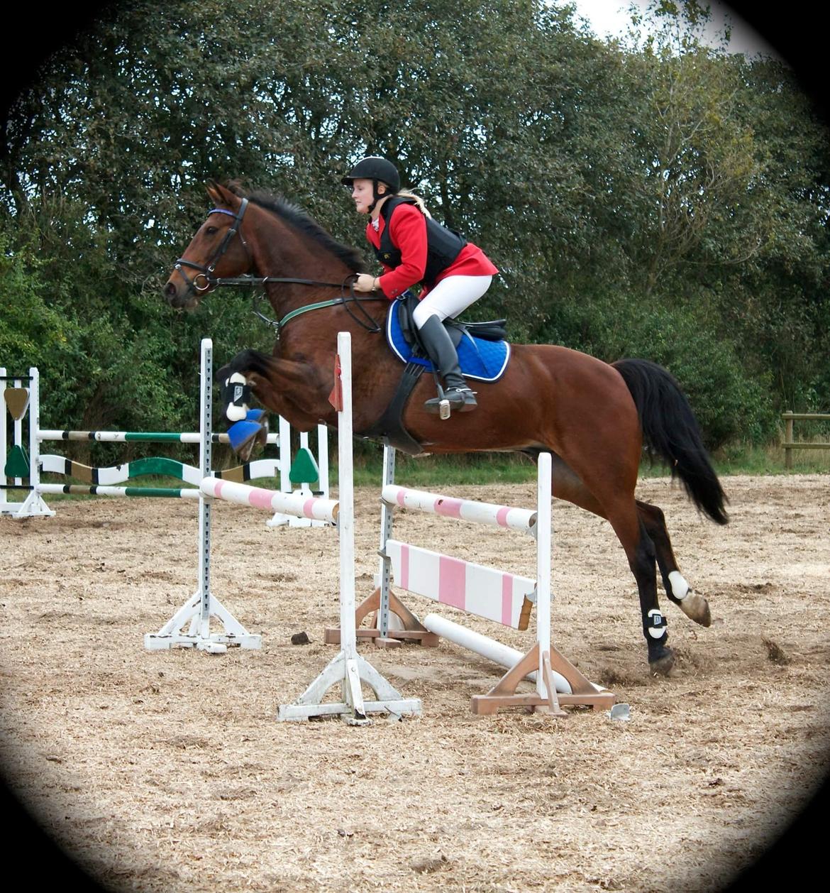 Traver Nordhusets Triton Flir <3 #Soulmate# billede 2