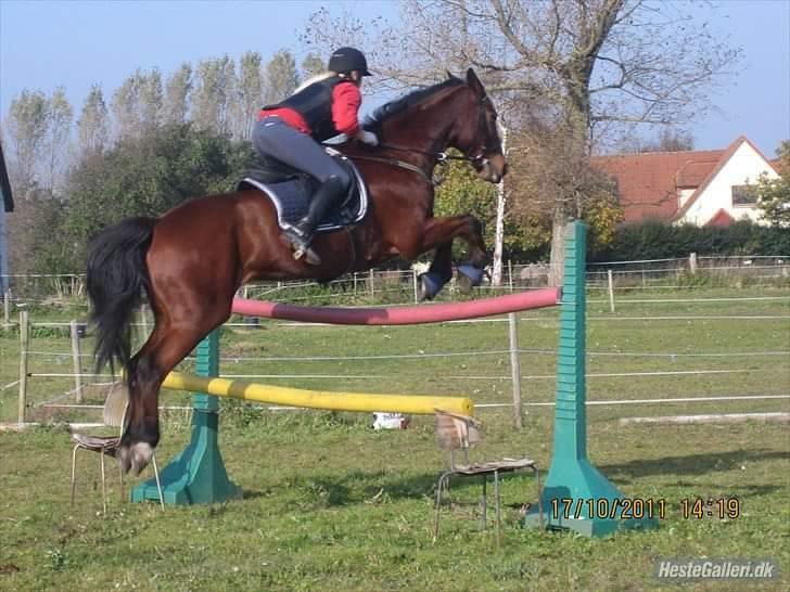 Traver Nordhusets Triton Flir <3 #Soulmate# billede 16