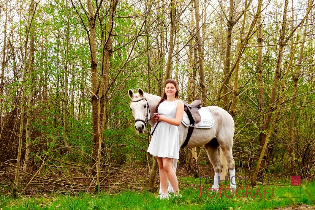 Anden særlig race Amadeus (aka Deuer) billede 20