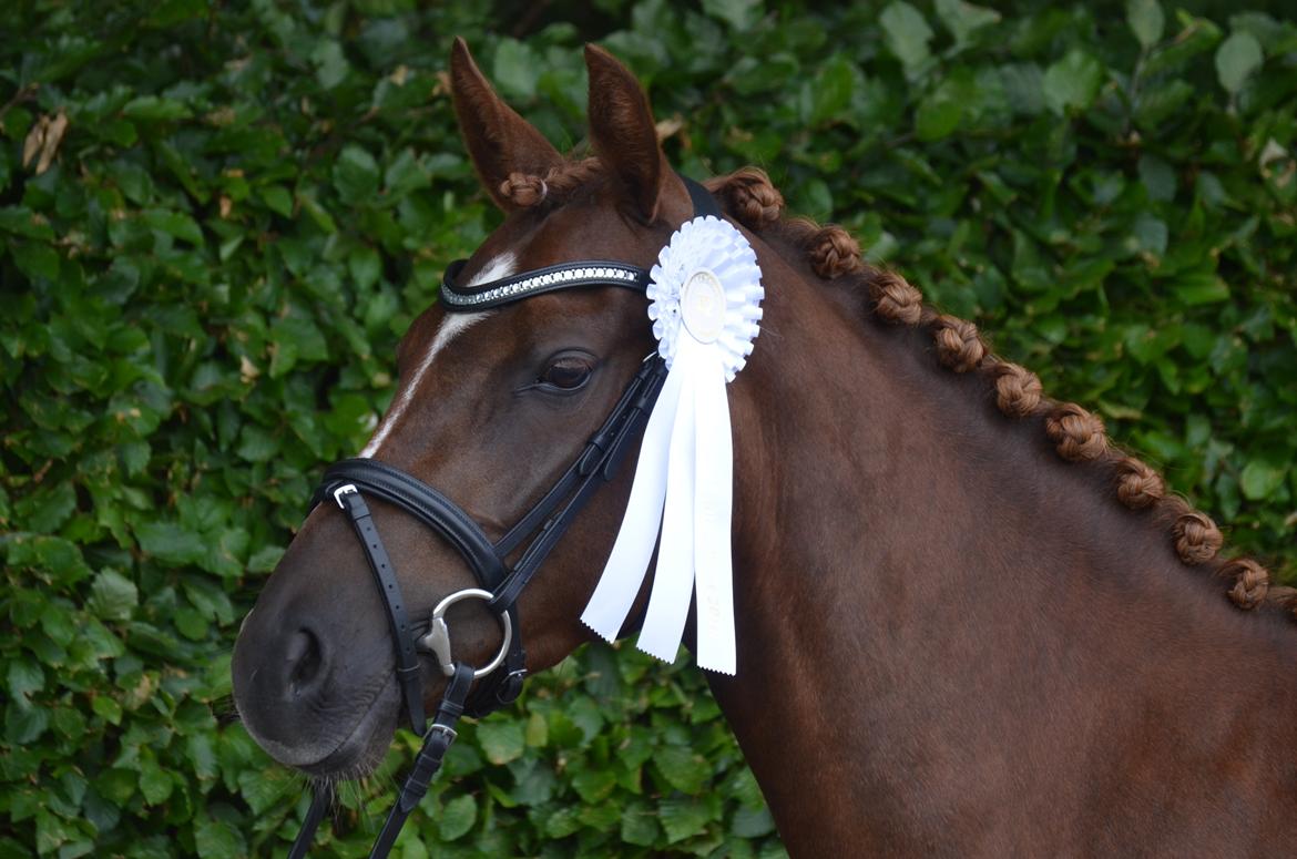 DSP Miss Liberty billede 1