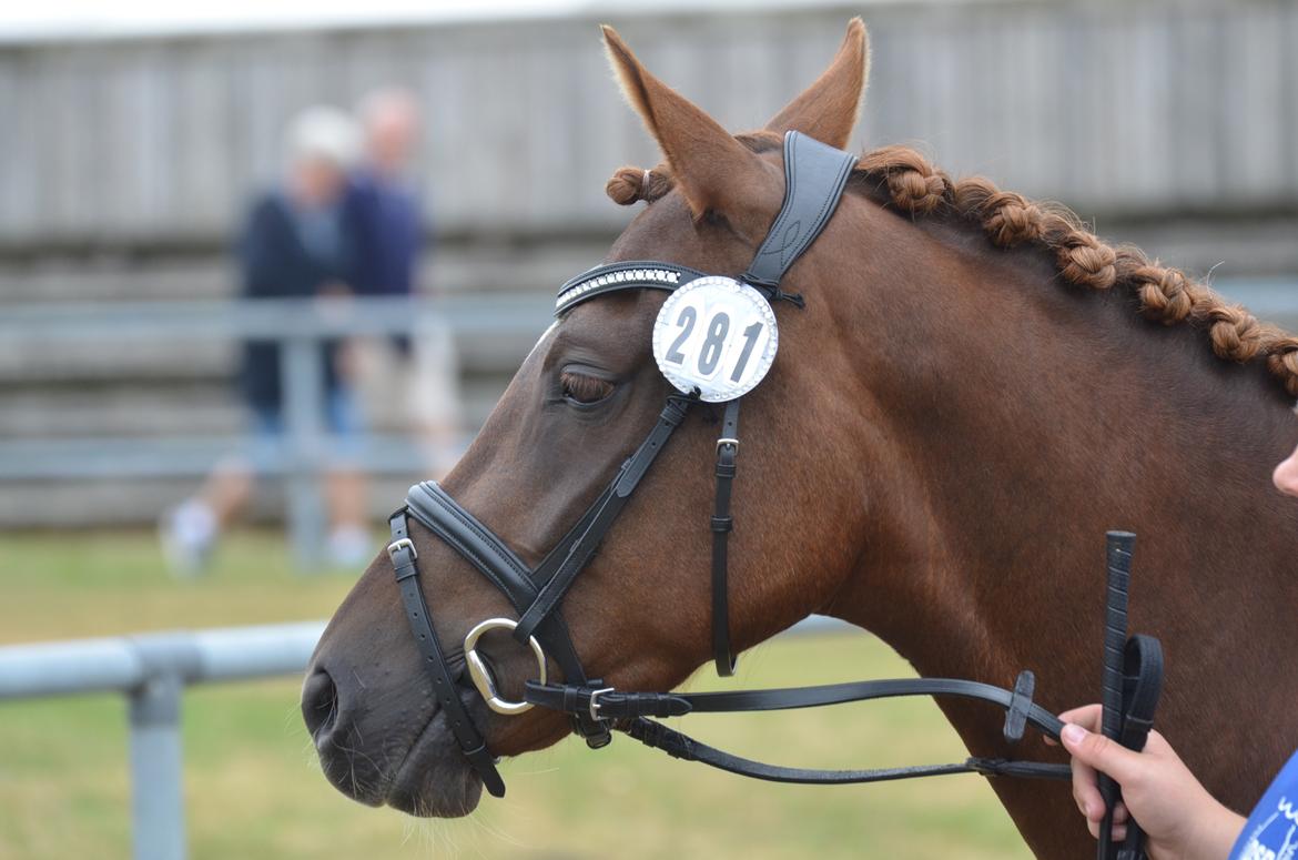 DSP Miss Liberty billede 5