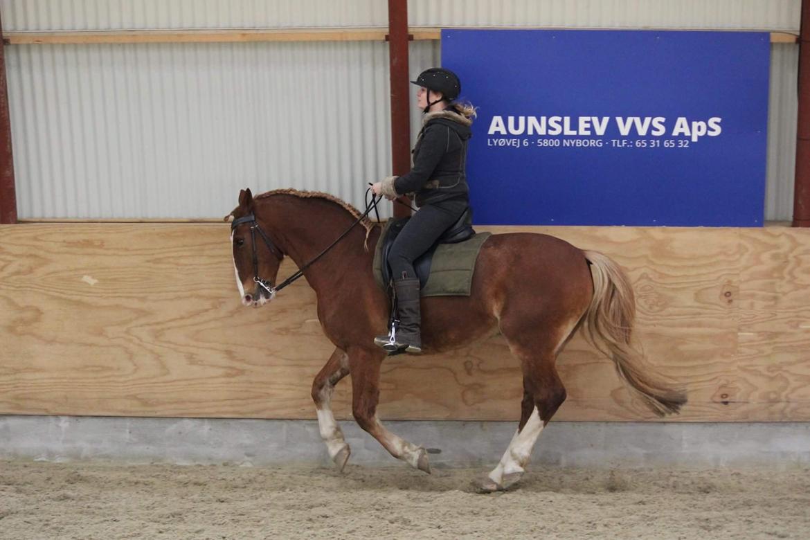 Frederiksborg Diamant billede 6