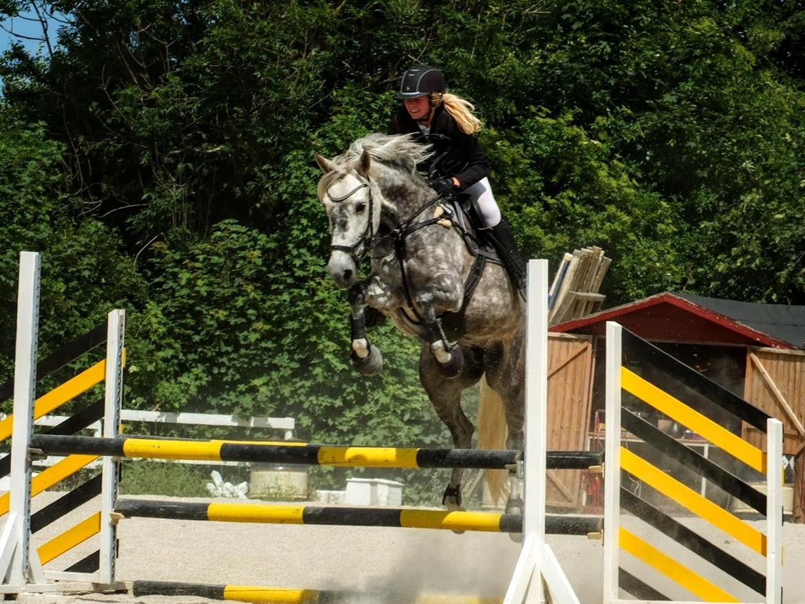 Anden særlig race Antares - Endelig ikke tage en bom..! billede 3
