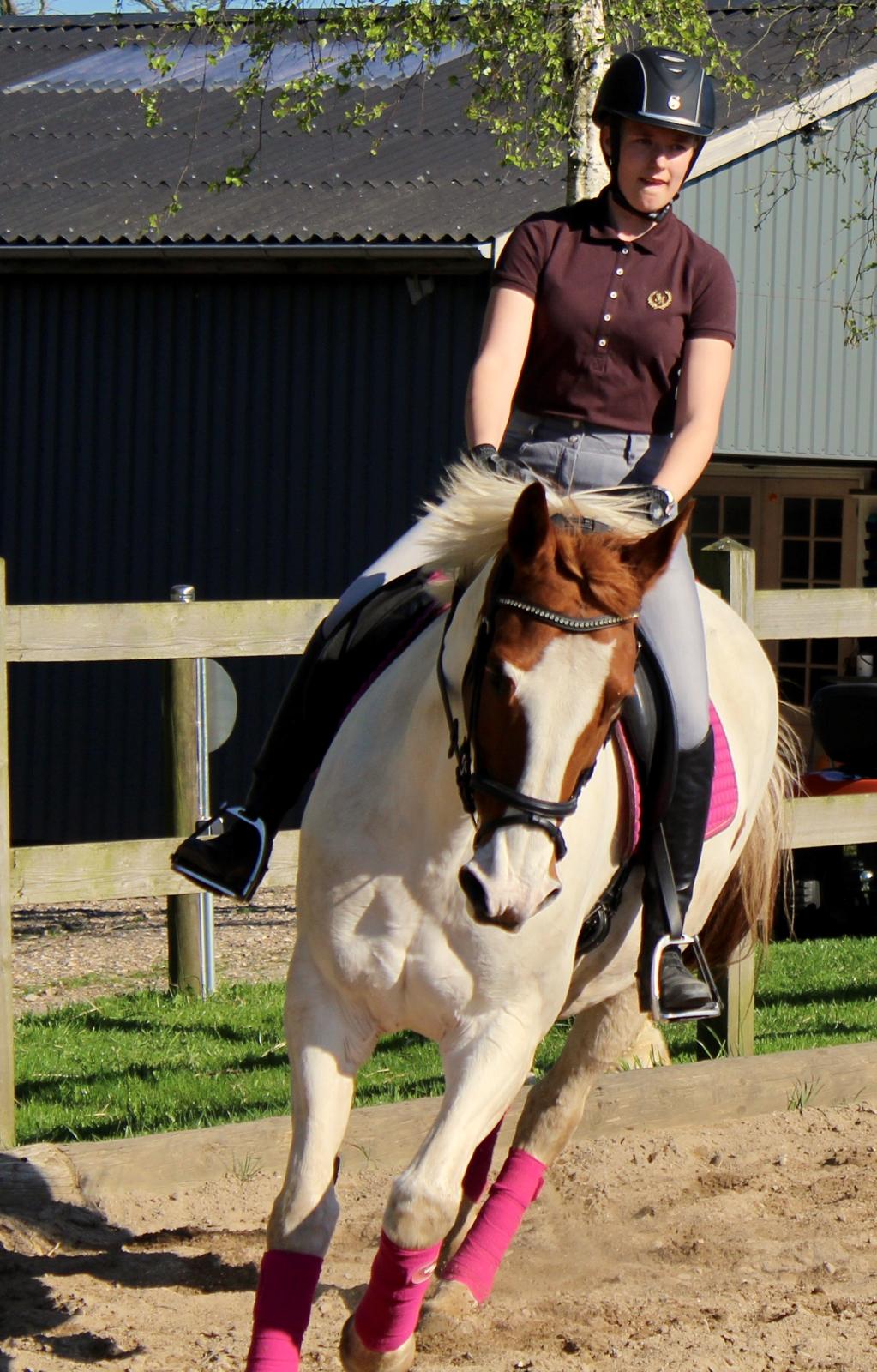 Anden særlig race Freja billede 20