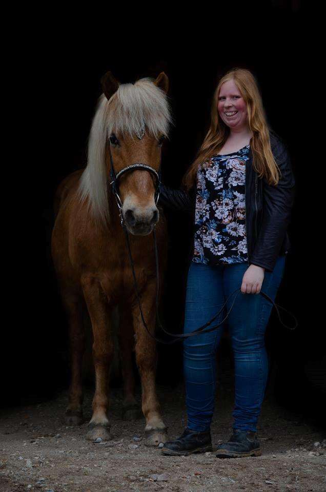 Islænder Neisti fra Skringstrup - Fotograf: Freja Maria Photo billede 2