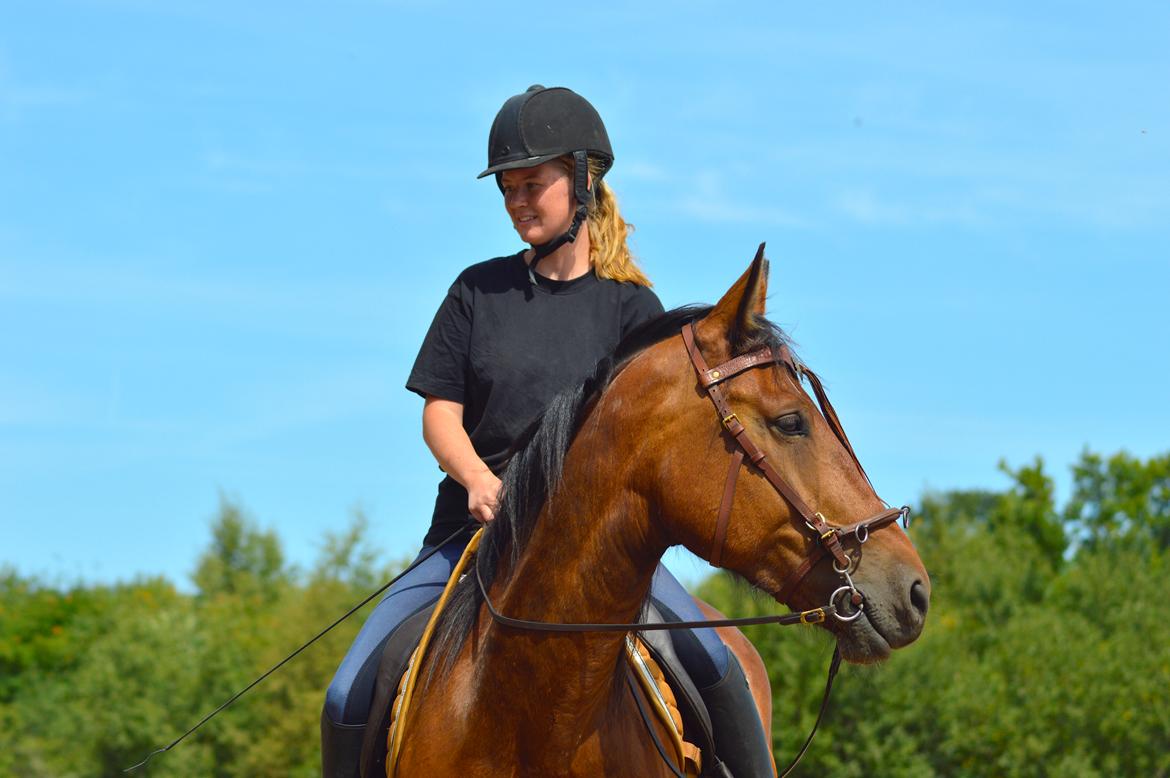 Anden særlig race Mr. Moonwalk | Himmelhest - Amanda Barton kursus 2018. Foto: Mikela Emdal Thomsen billede 19