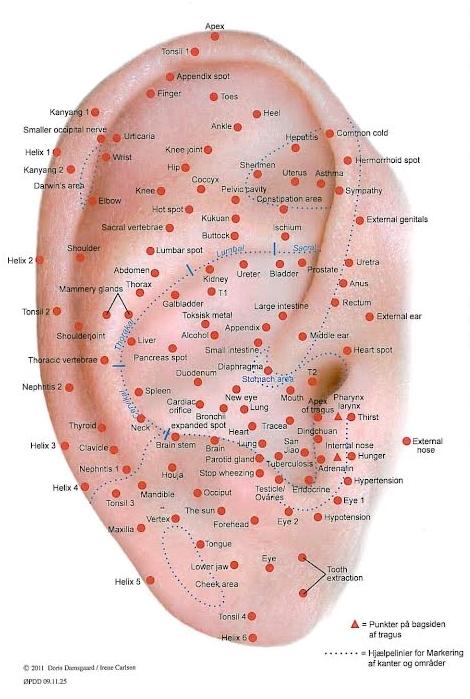 Dartmoor Mille Musen. ..solgt billede 13