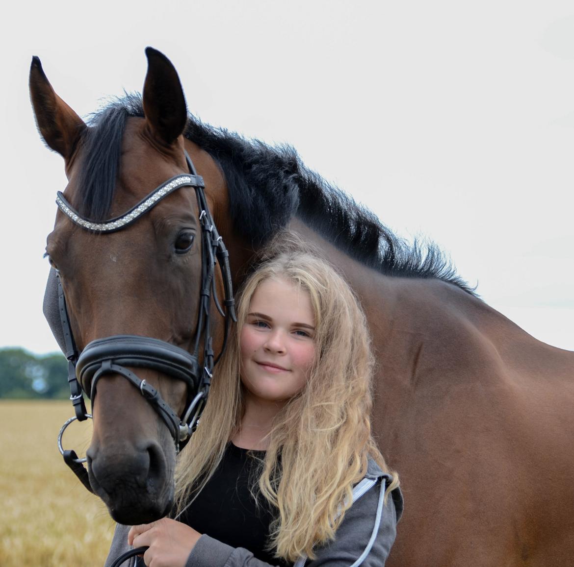 Tysk Oldenburger Ravenna billede 3