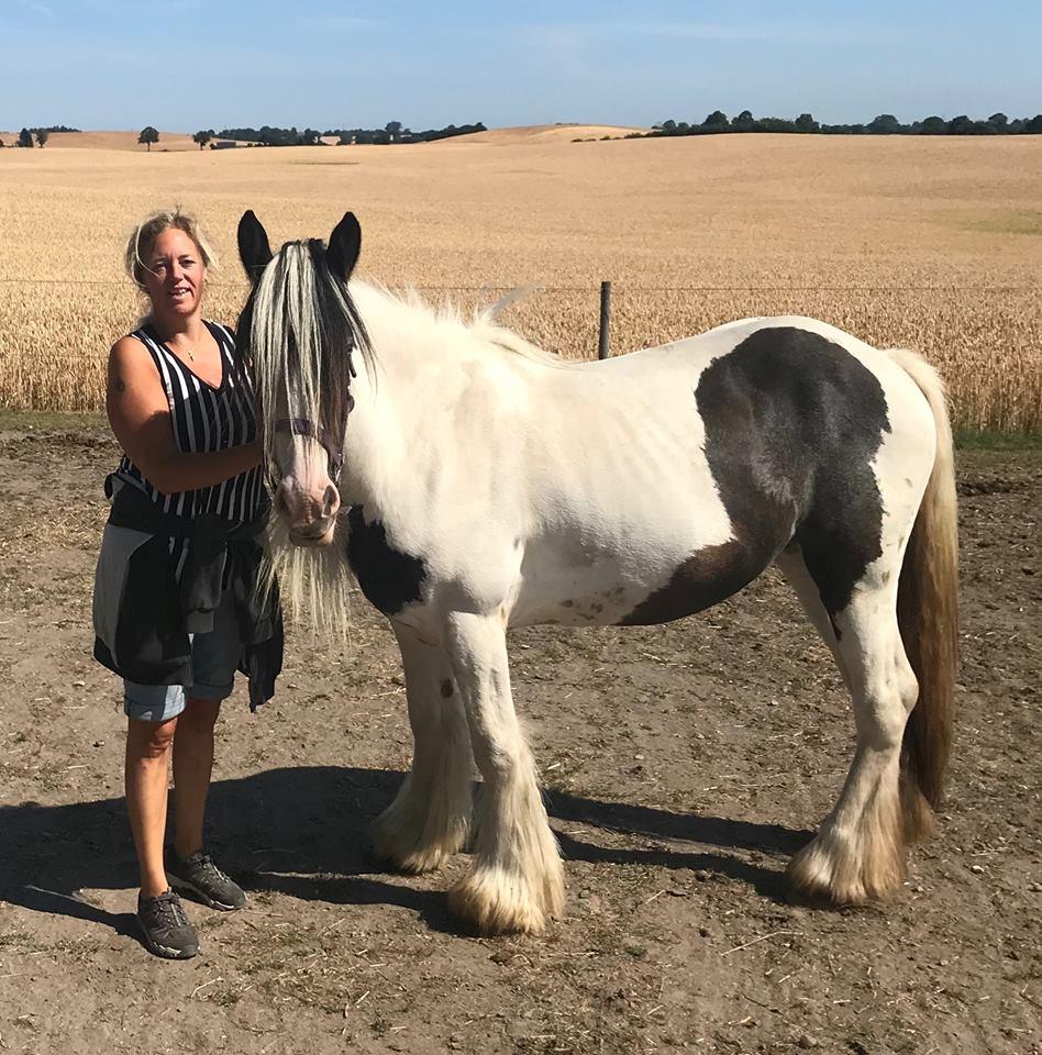 Tinker Lillevang's Prinsesse - 2018 billede 18