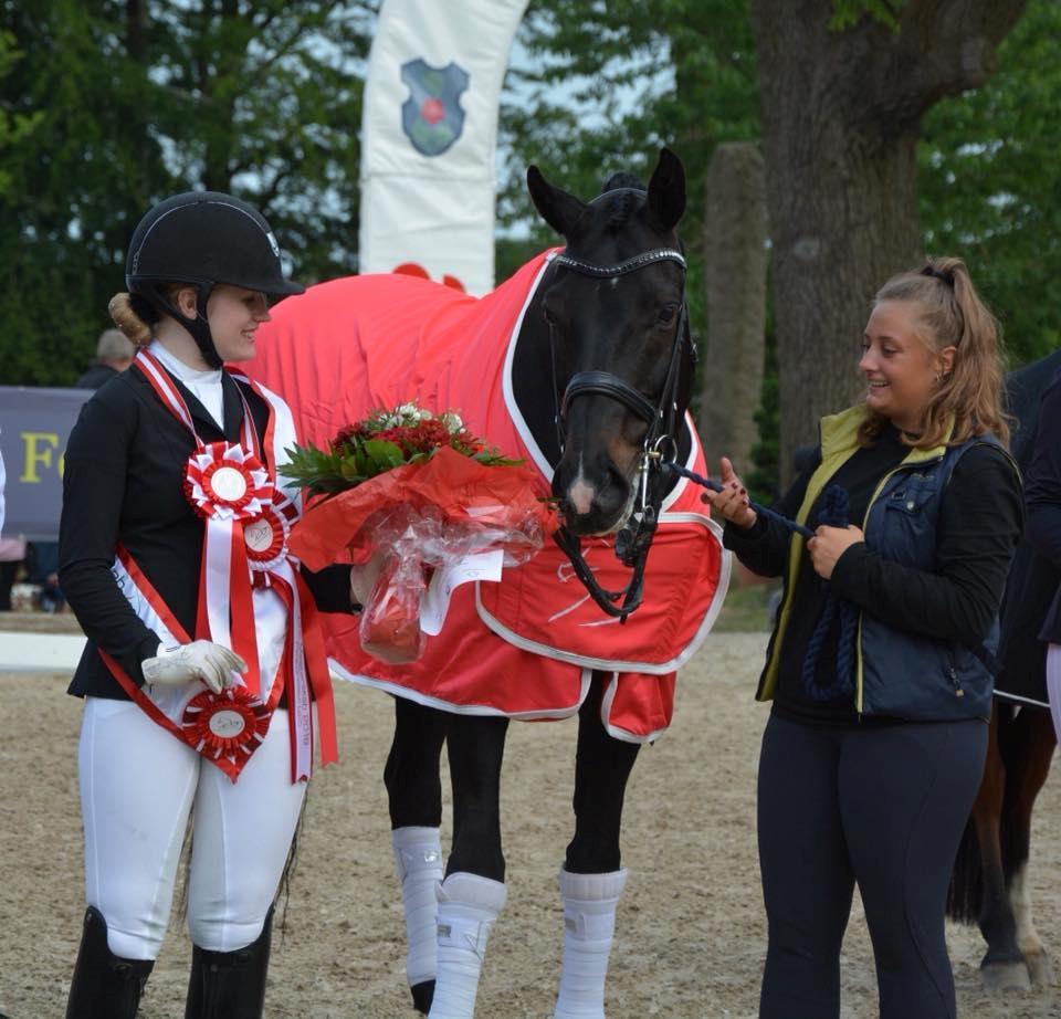 Dansk Varmblod Sir salvador - Danmarksmestre U25 paradressur 2018 billede 5