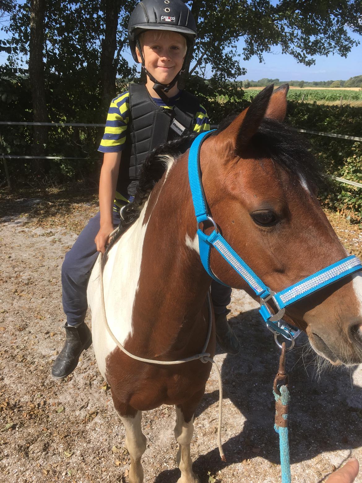 Anden særlig race Lullu (solgt) billede 19