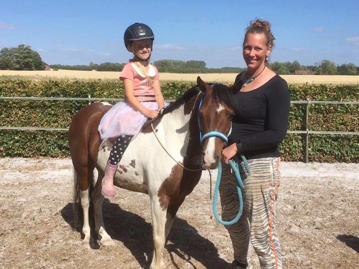 Anden særlig race Lullu (solgt) billede 20