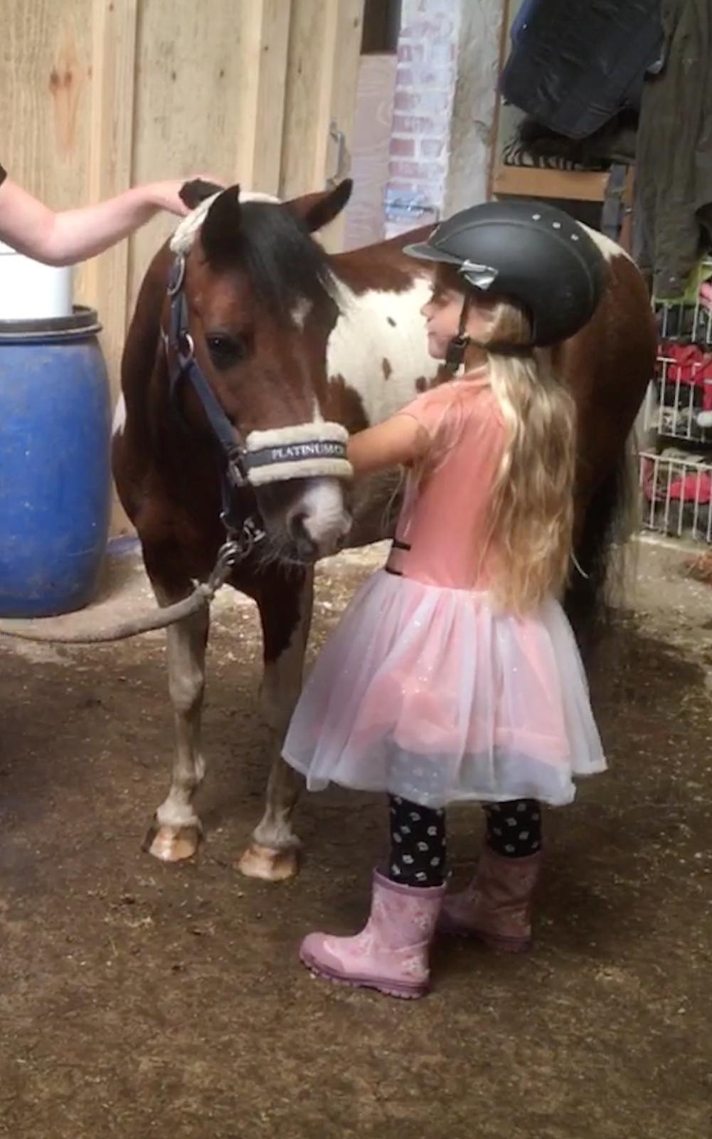 Anden særlig race Lullu (solgt) billede 18