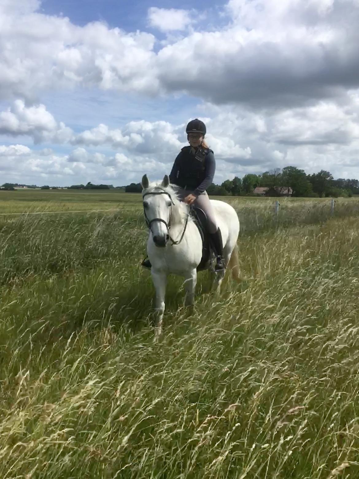 Connemara Ålegaards Malou RIP billede 12