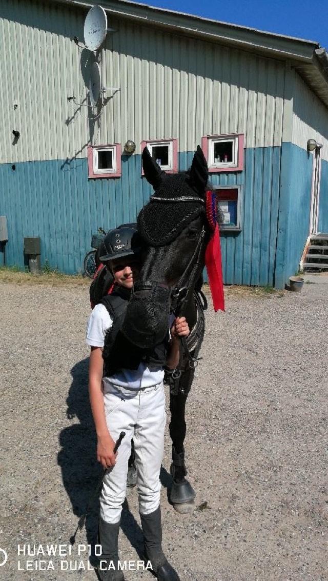 New Forest Danish delight billede 5