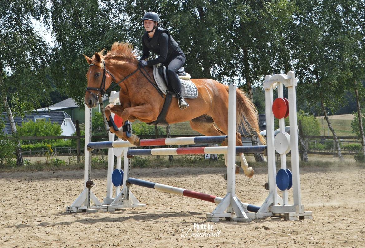 Anden særlig race | UN - Undervisning af Philip Melby - Viwett ridelejr 2018 - Foto: Photosbydehnhardt billede 13