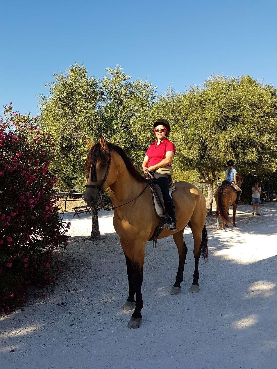 Dansk Varmblod Cheval - PRE, Andalucia, Spain billede 4