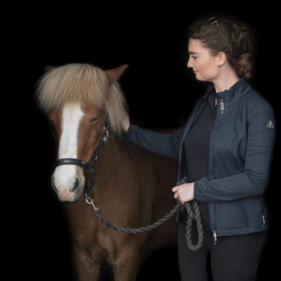 Islænder Fylkir Fra Reykjavik  billede 2