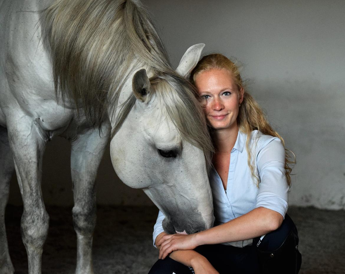 Lusitano Esperto billede 19