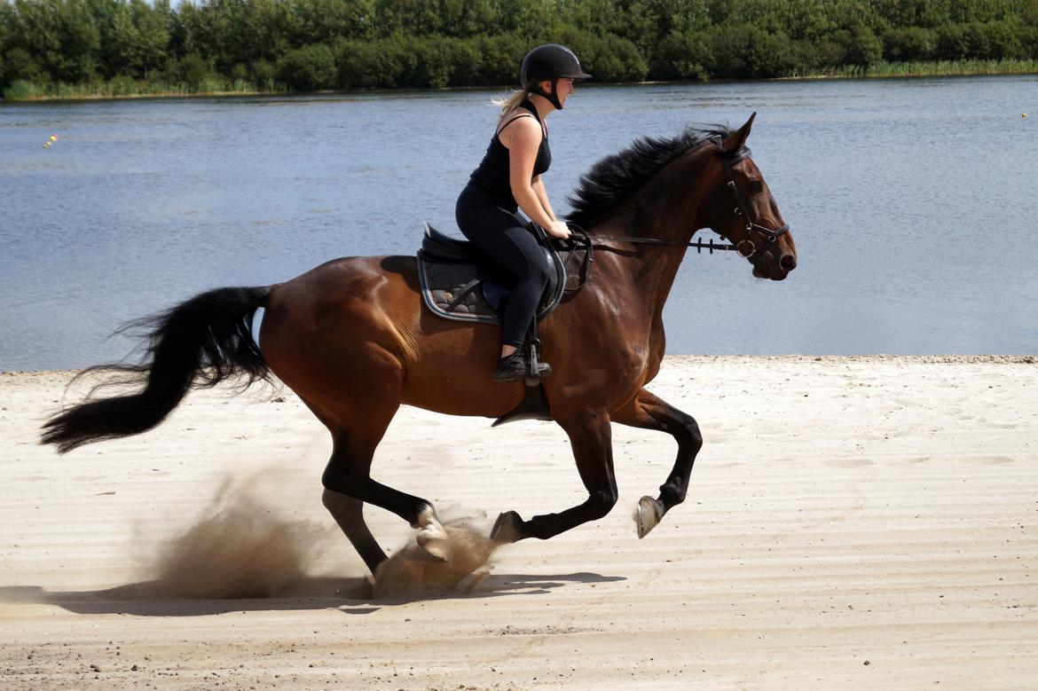 Oldenborg Cornett  billede 1