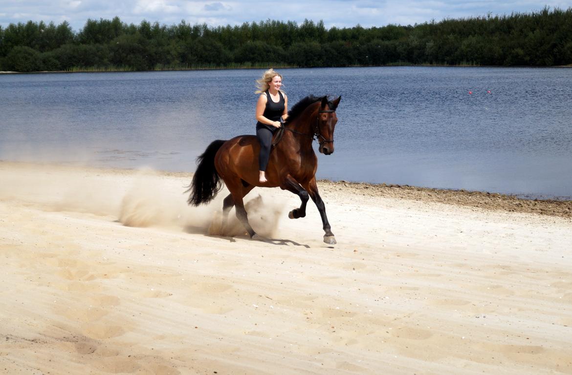 Oldenborg Cornett  billede 8