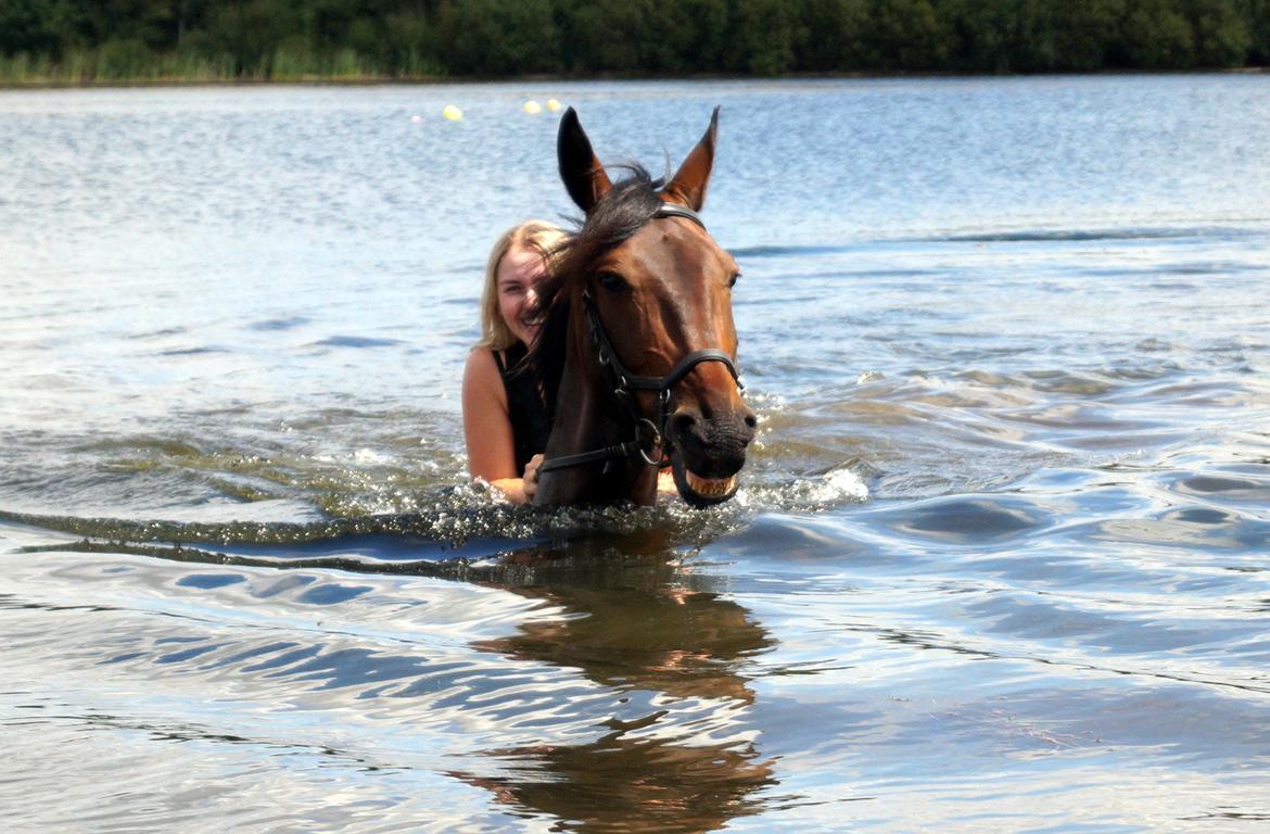 Oldenborg Cornett  billede 4