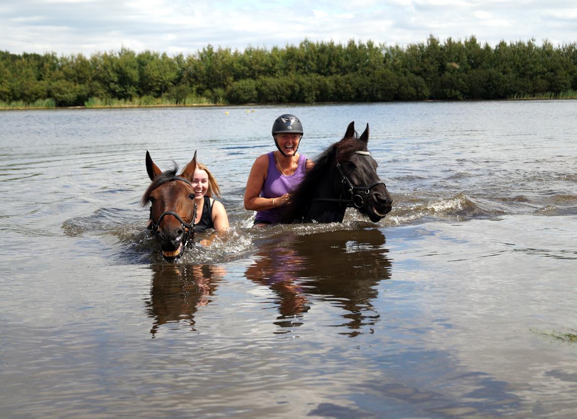 Oldenborg Cornett  billede 20