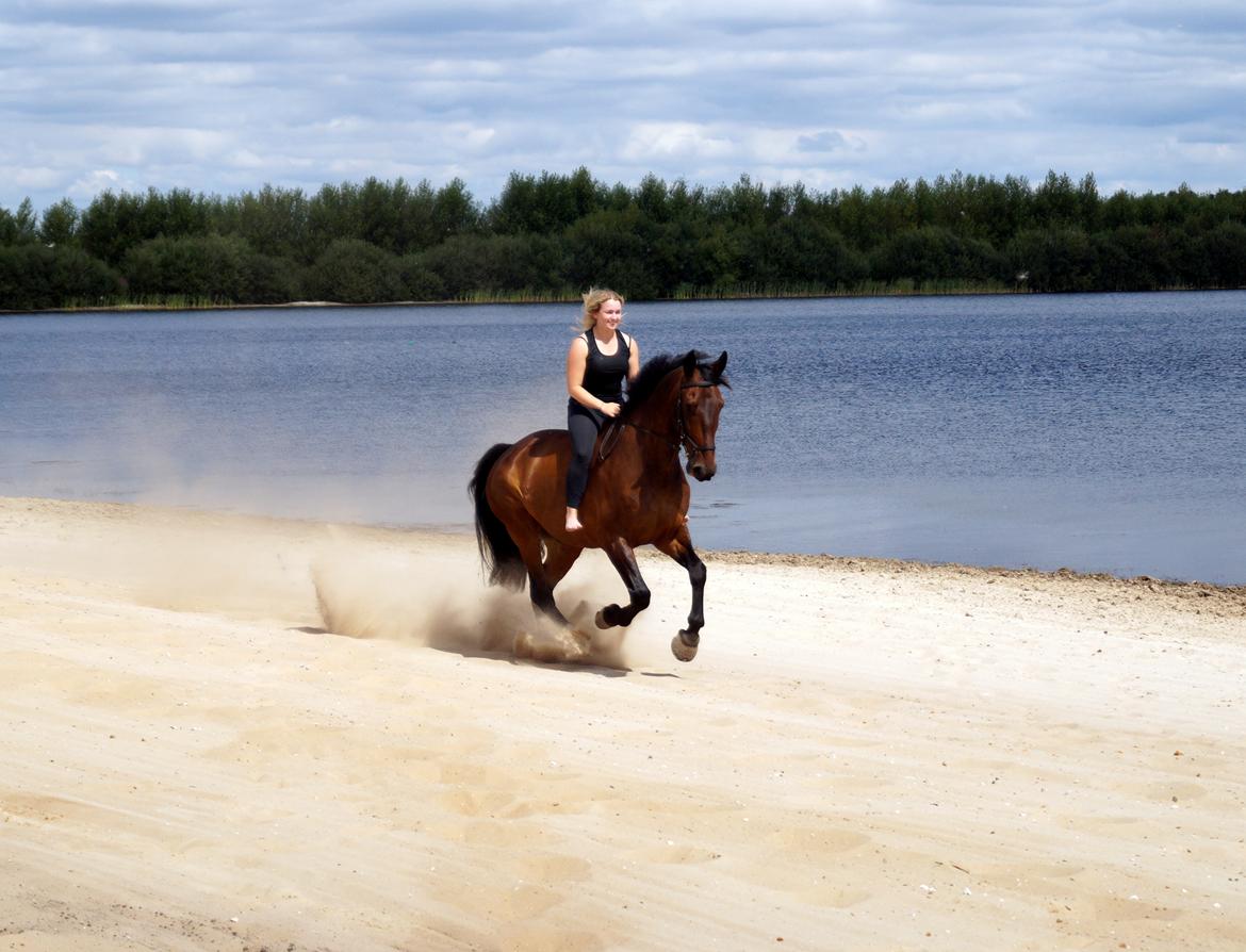 Oldenborg Cornett  billede 36