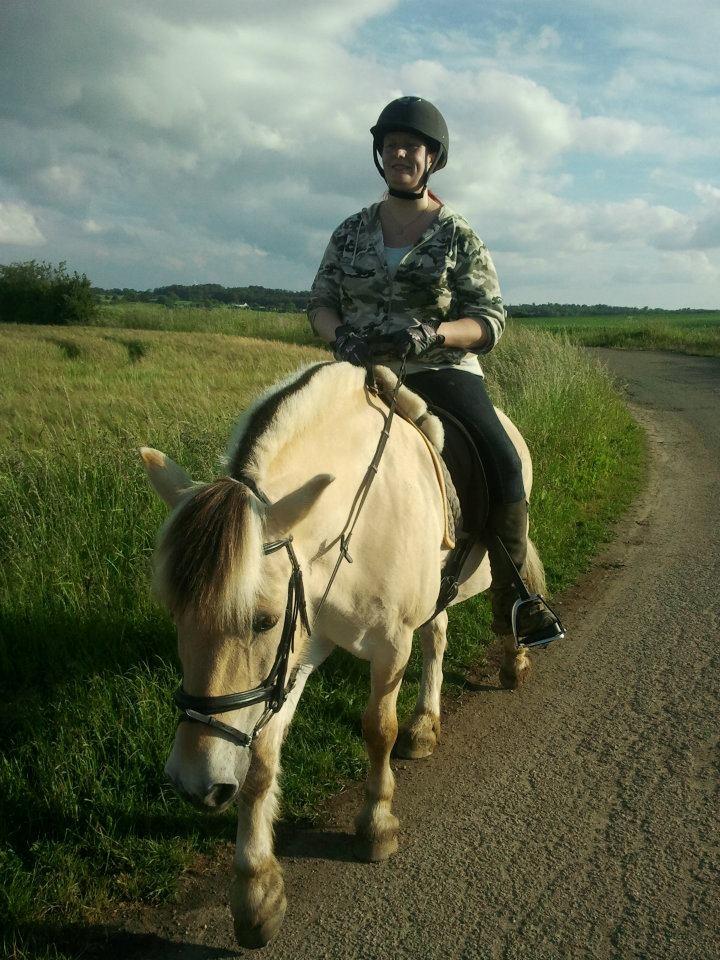 Fjordhest Tjalfe (på de evige græsmarker) - Lille tur billede 12