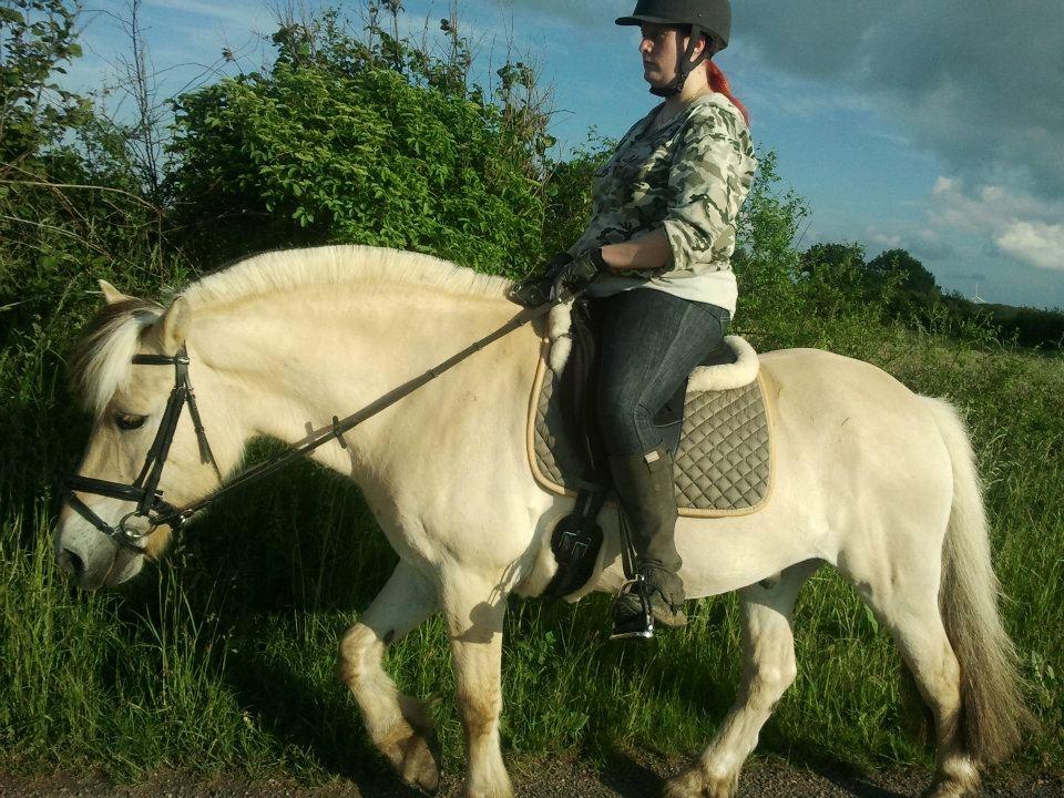 Fjordhest Tjalfe (på de evige græsmarker) - Total afslappet  billede 13