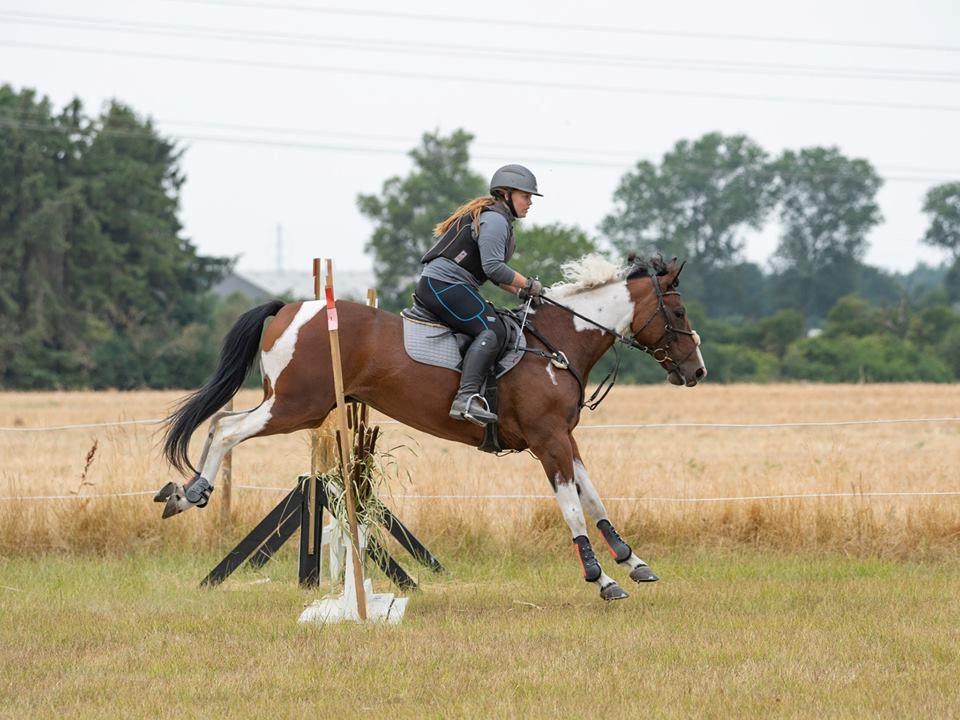Pinto Elmegårdens Prada - CNC60 på Louisenborg 22/7-18 Foto: Kaj Frøling billede 4