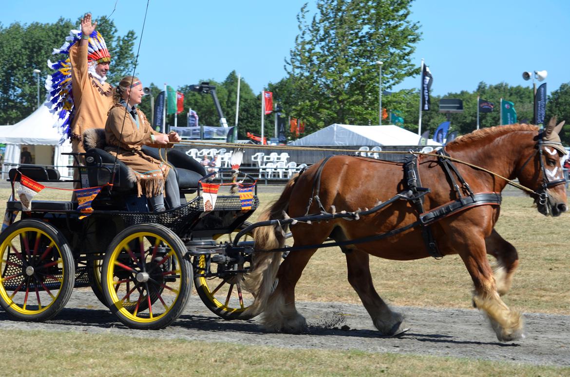 Jyde Thor - Jydeshow, Landsskue 2018 billede 2