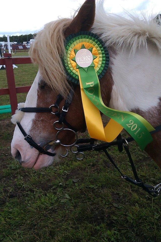 Anden særlig race Mr Mulle *Min soulmate* billede 7