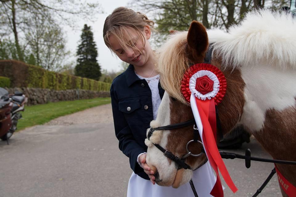 Anden særlig race Mr Mulle *Min soulmate* billede 1