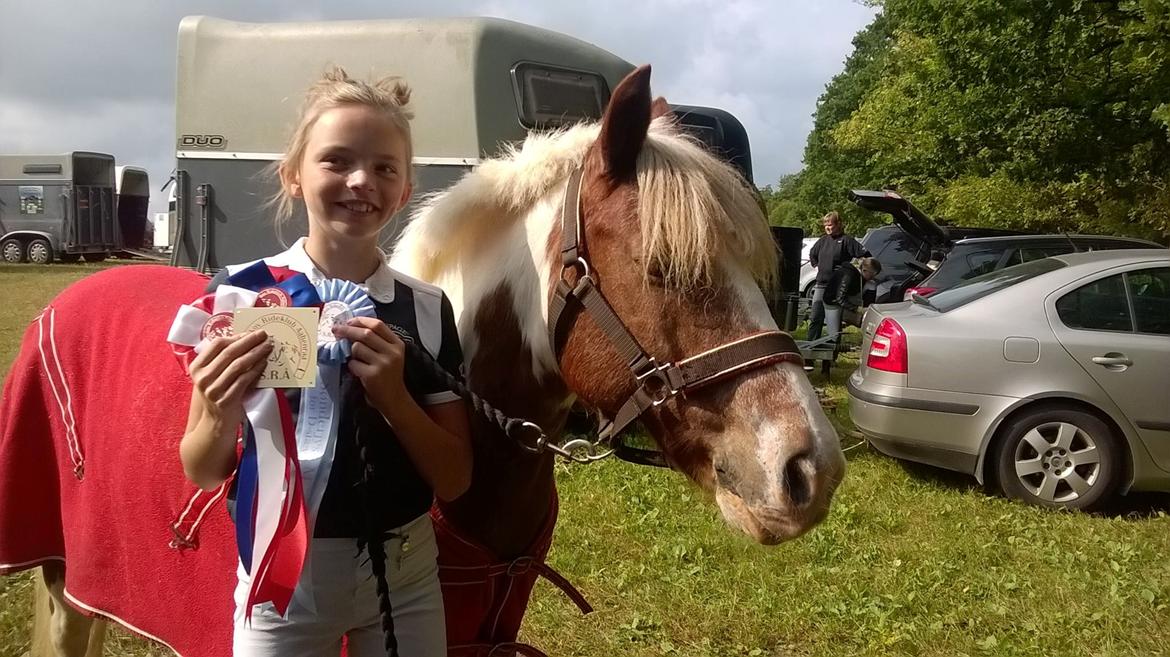 Anden særlig race Mr Mulle *Min soulmate* billede 11