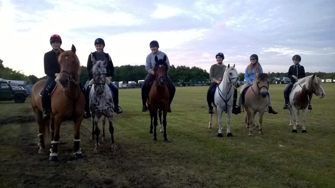 Anden særlig race Mr Mulle *Min soulmate* - Mulle og mig til landskuet i Herning 2016 med Mounted Games holdet billede 14